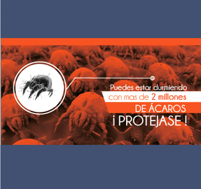 LIMPIEZA E HIGIENIZACION DE COLCHONES